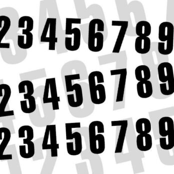 Numéro de course 1 BLACKBIRD 16x7,5cm